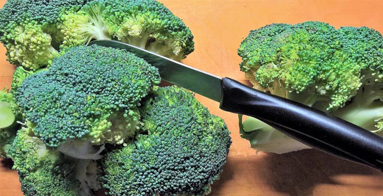 comida saludable con brocoli