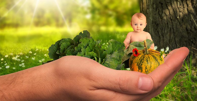 comida saludable para niños