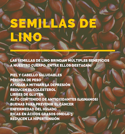 semillas de lino beneficios