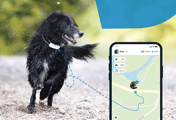mejores gps para perros