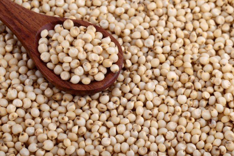 Qué es el sorgo y cuáles son sus propiedades, beneficios y contenido nutricional