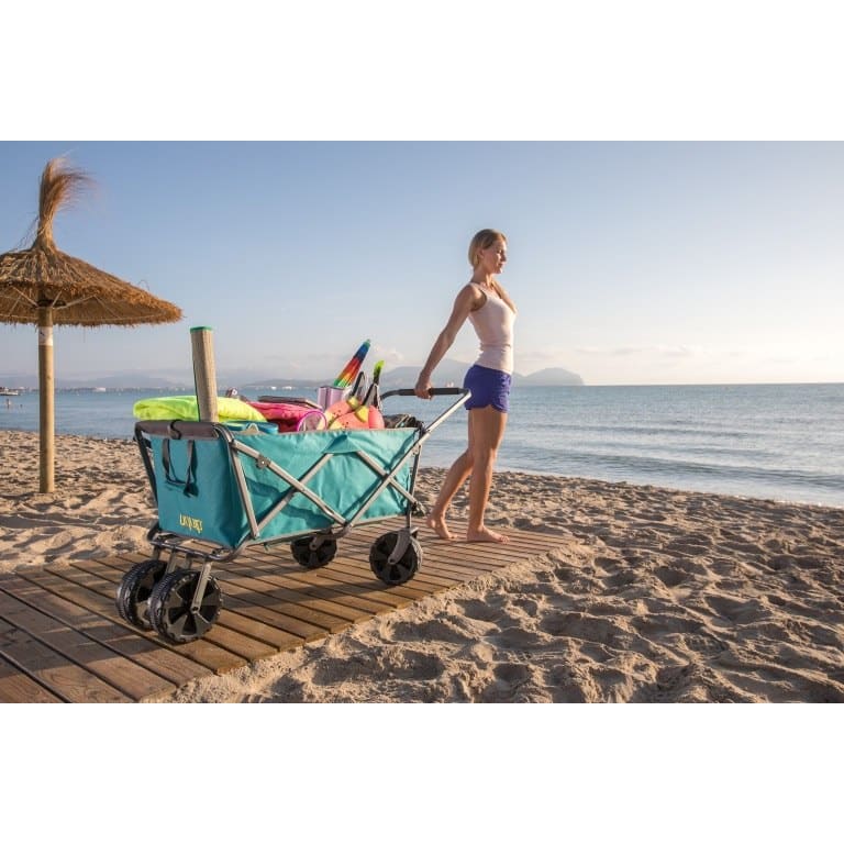 Mejores carritos de playa